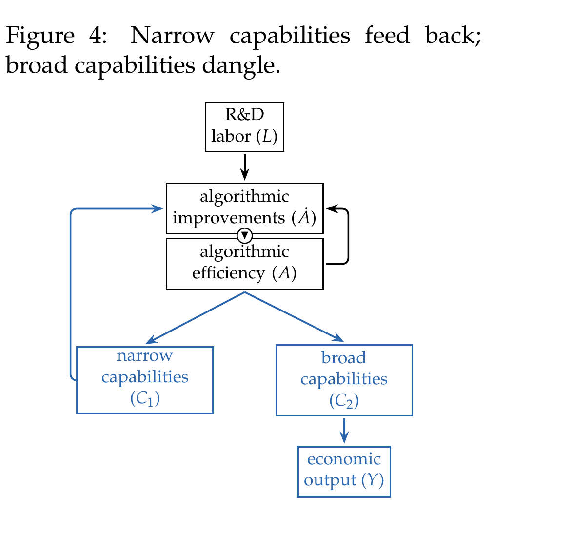 Figure 4: Narrow capabilities feed back while broad capabilities dangle